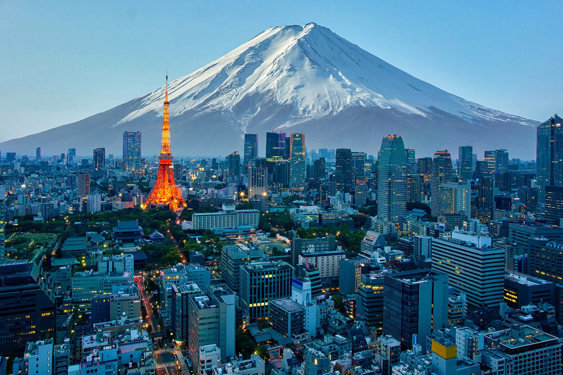 Study in Japan